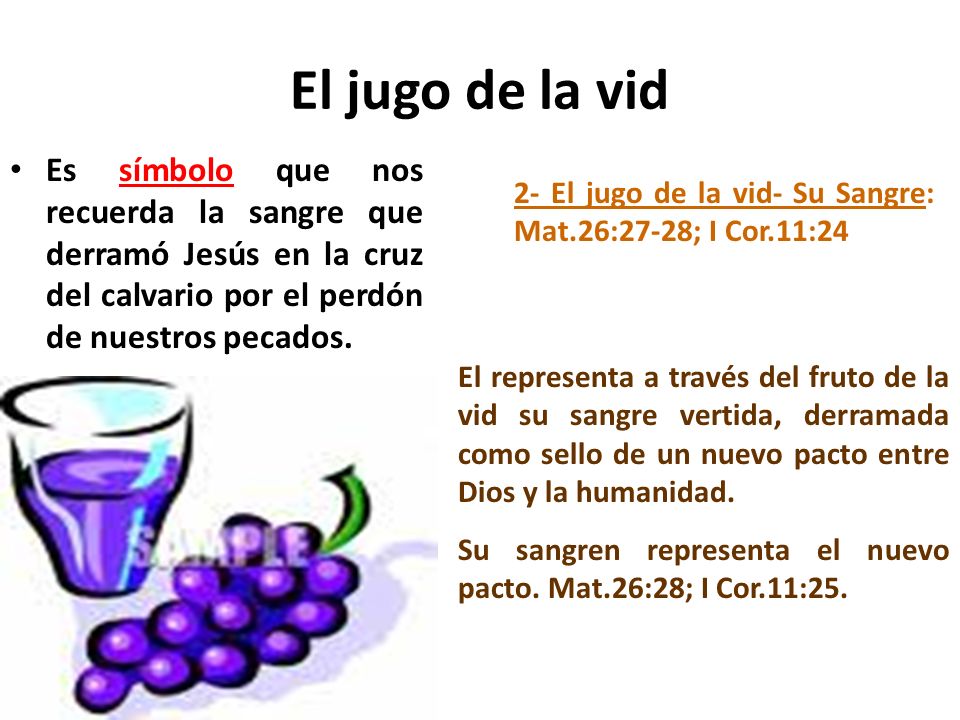 El jugo de la vid Es símbolo que nos recuerda la sangre que derramó Jesús en la cruz del calvario por el perdón de nuestros pecados.