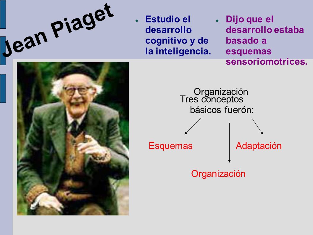 Jean Piaget Estudio el desarrollo cognitivo y de la inteligencia.