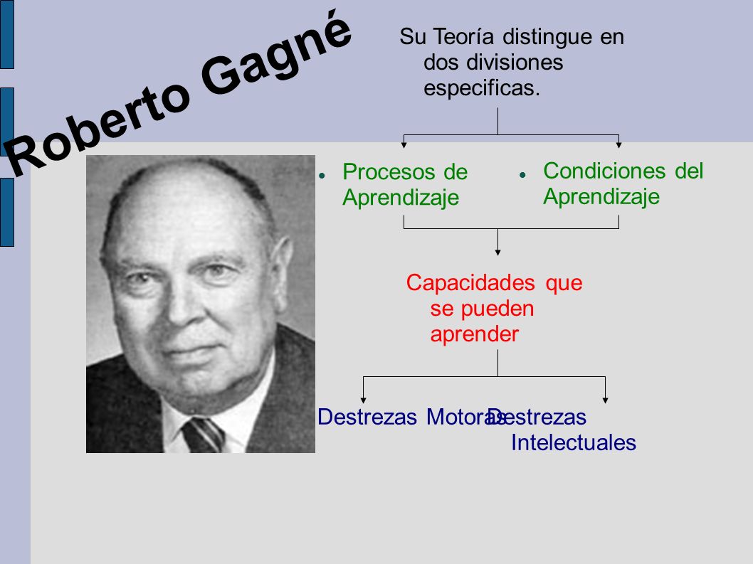 Roberto Gagné Su Teoría distingue en dos divisiones especificas.