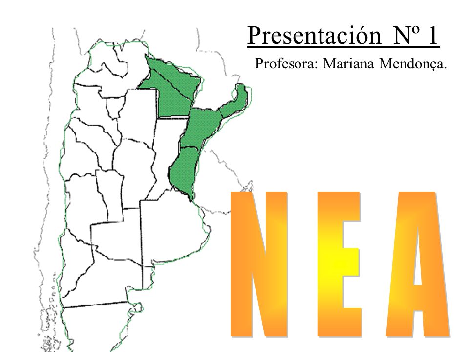Presentación Nº 1 Profesora: Mariana Mendonça. N E A