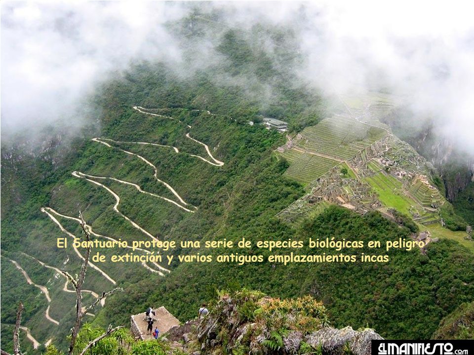 El Santuario protege una serie de especies biológicas en peligro de extinción y varios antiguos emplazamientos incas
