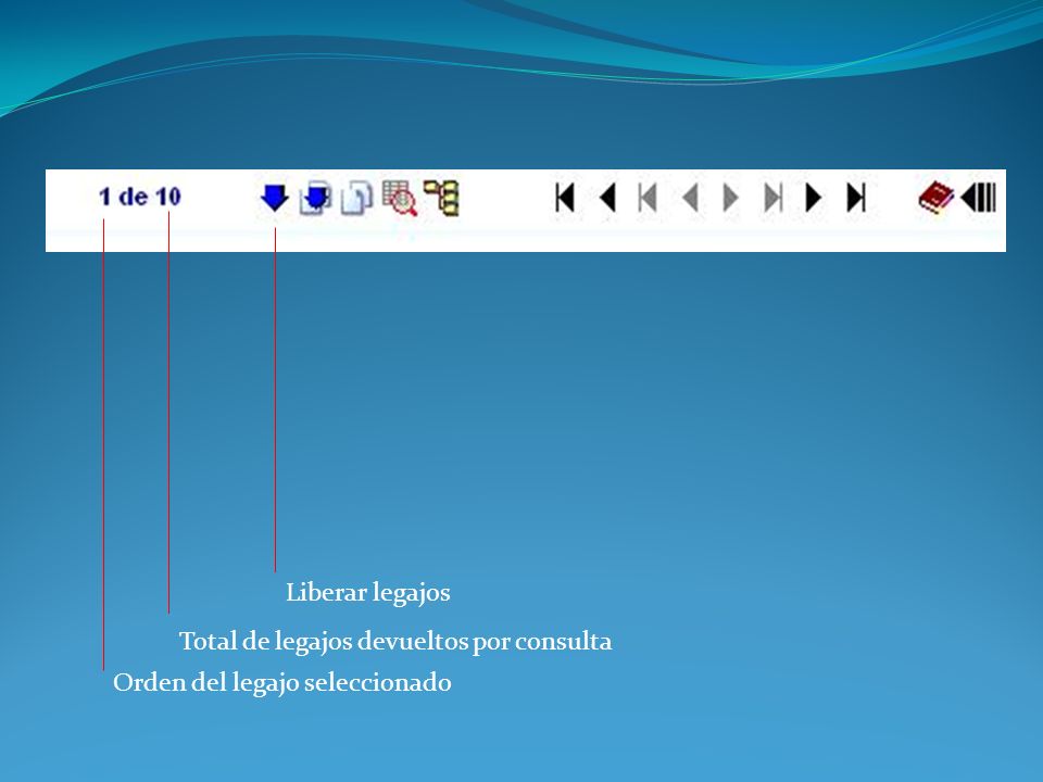 Liberar legajos Total de legajos devueltos por consulta Orden del legajo seleccionado