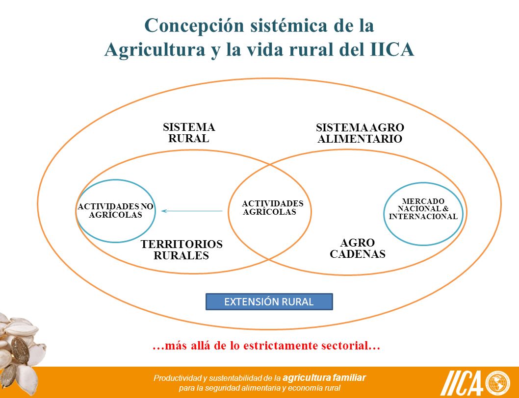Concepción sistémica de la Agricultura y la vida rural del IICA