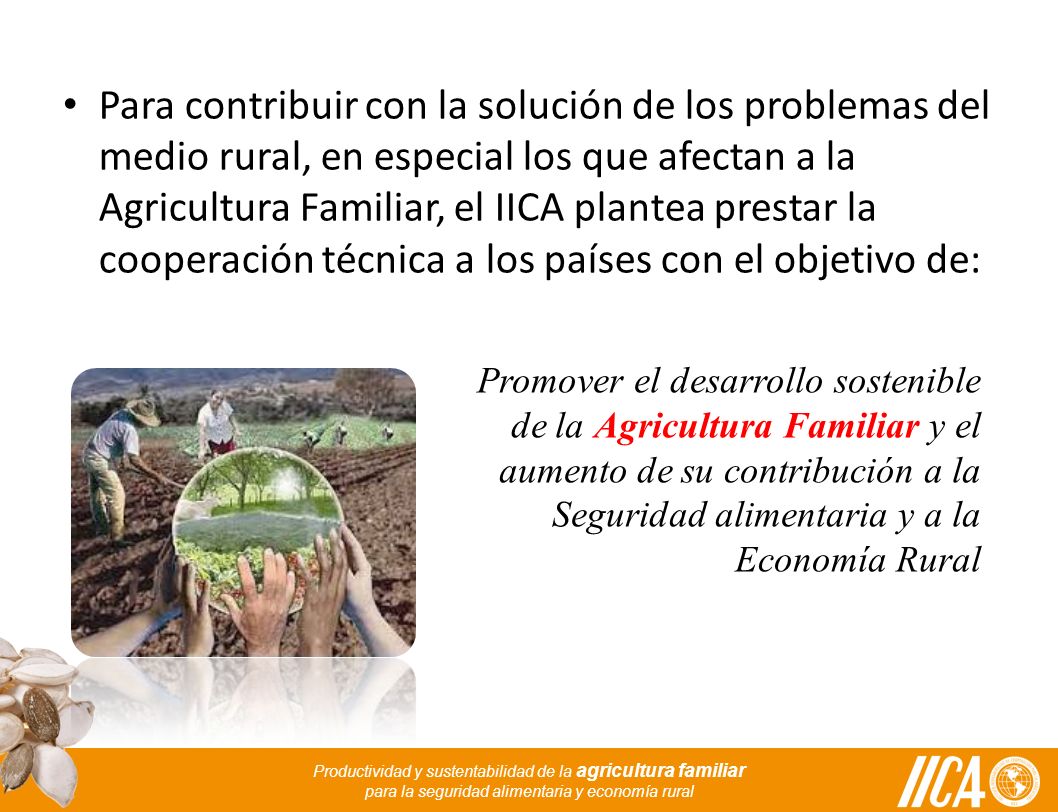 Para contribuir con la solución de los problemas del medio rural, en especial los que afectan a la Agricultura Familiar, el IICA plantea prestar la cooperación técnica a los países con el objetivo de: