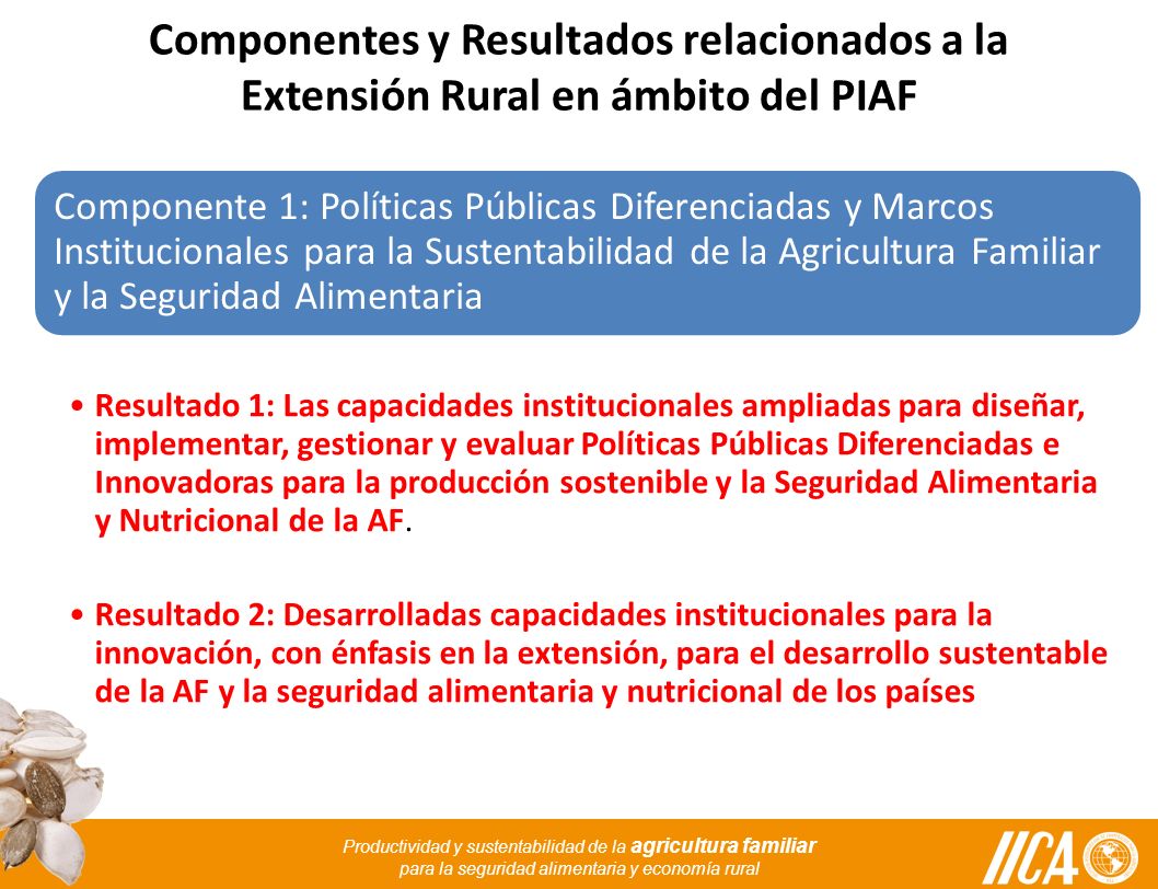 Componentes y Resultados relacionados a la Extensión Rural en ámbito del PIAF