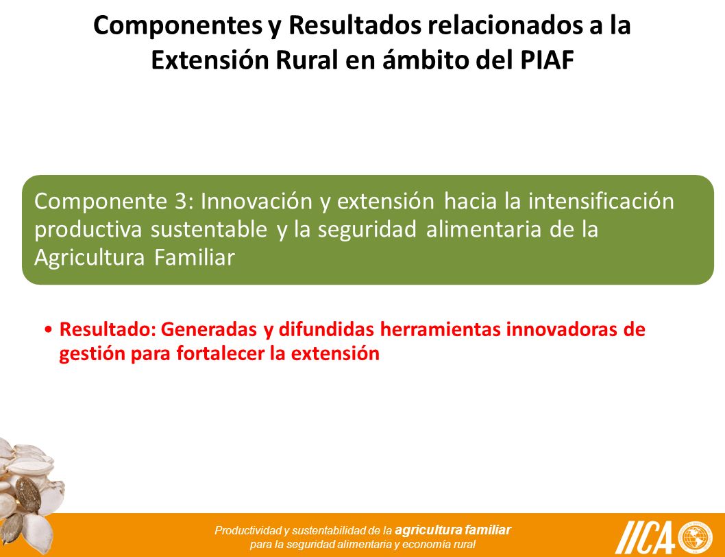 Componentes y Resultados relacionados a la Extensión Rural en ámbito del PIAF