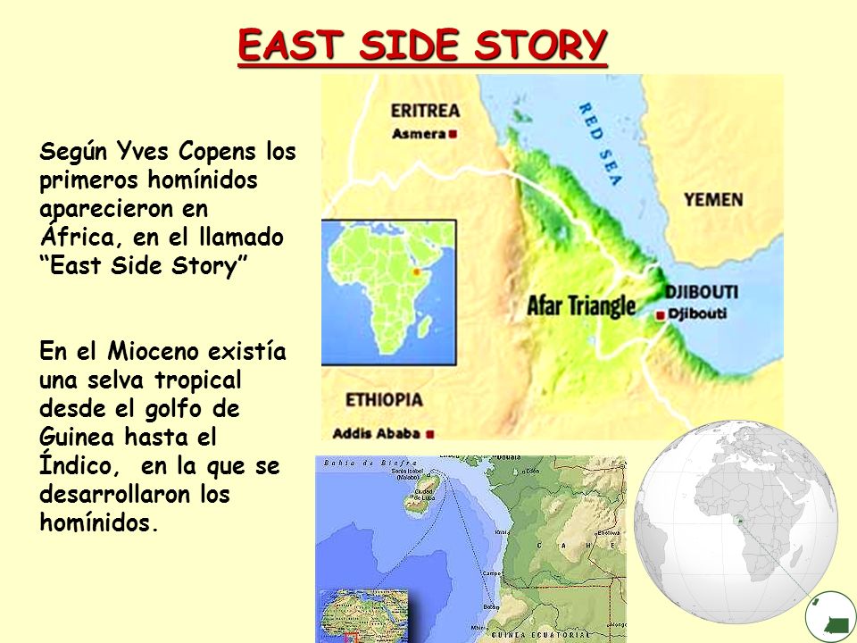 EAST SIDE STORY Según Yves Copens los primeros homínidos aparecieron en África, en el llamado East Side Story