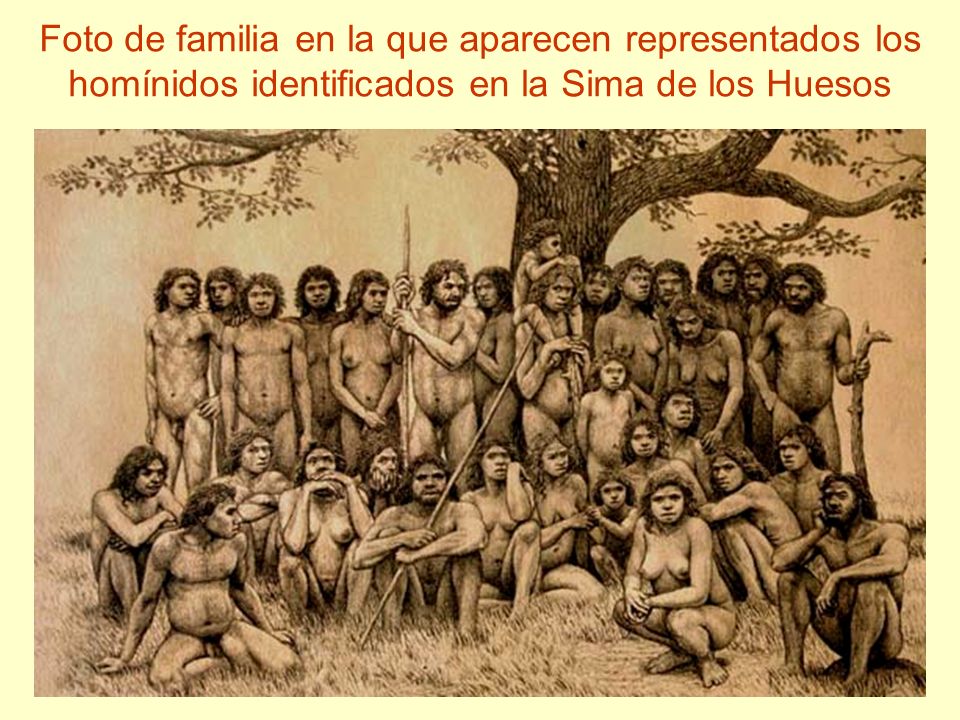 Foto de familia en la que aparecen representados los homínidos identificados en la Sima de los Huesos