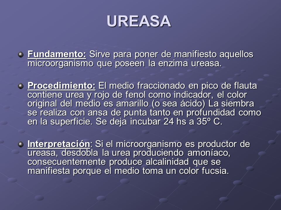 UREASA Fundamento: Sirve para poner de manifiesto aquellos microorganismo que poseen la enzima ureasa.
