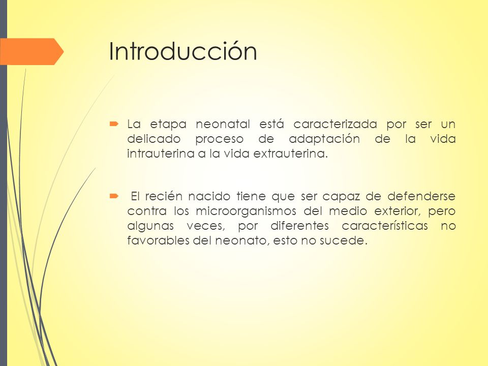 Introducción La etapa neonatal está caracterizada por ser un delicado proceso de adaptación de la vida intrauterina a la vida extrauterina.
