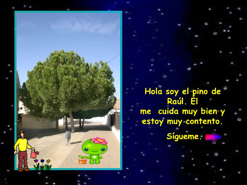 Hola soy el pino de Raúl. Él me cuida muy bien y estoy muy contento