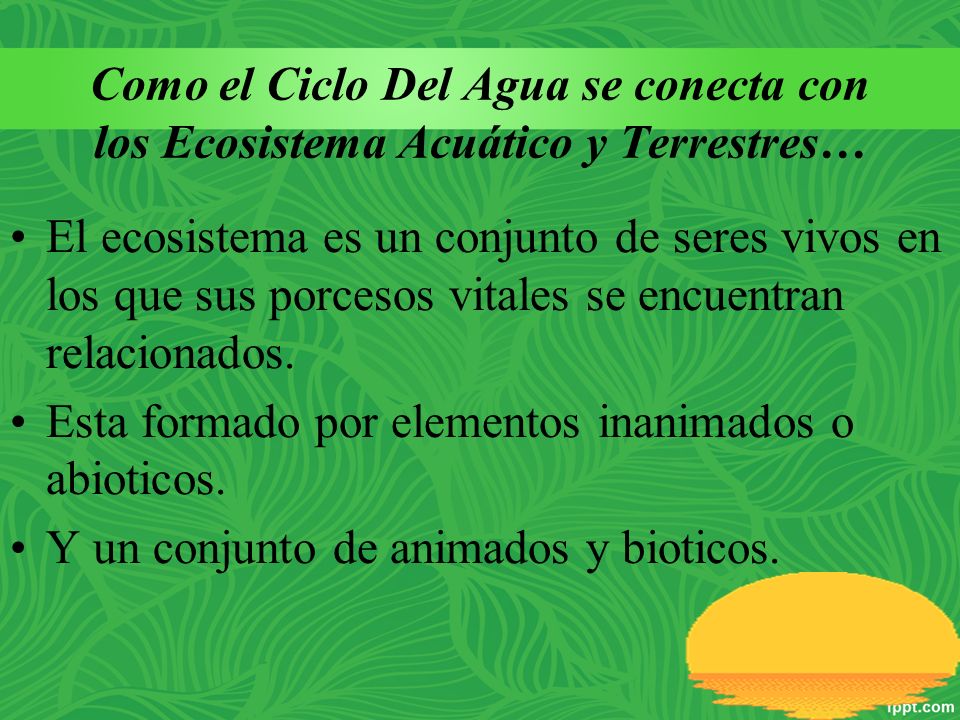 Como el Ciclo Del Agua se conecta con los Ecosistema Acuático y Terrestres…