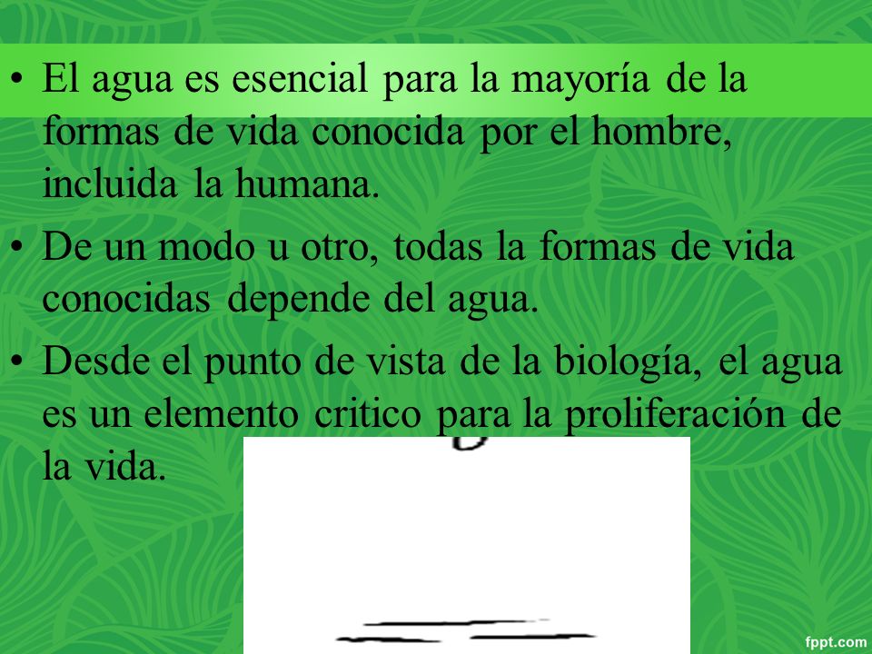 El agua es esencial para la mayoría de la formas de vida conocida por el hombre, incluida la humana.