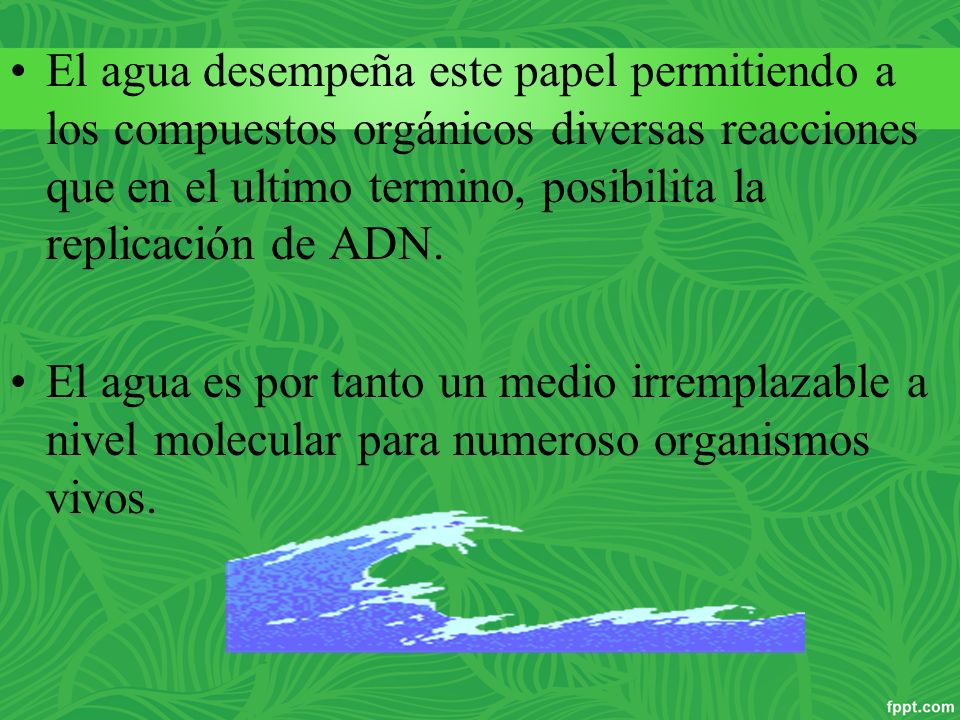 El agua desempeña este papel permitiendo a los compuestos orgánicos diversas reacciones que en el ultimo termino, posibilita la replicación de ADN.