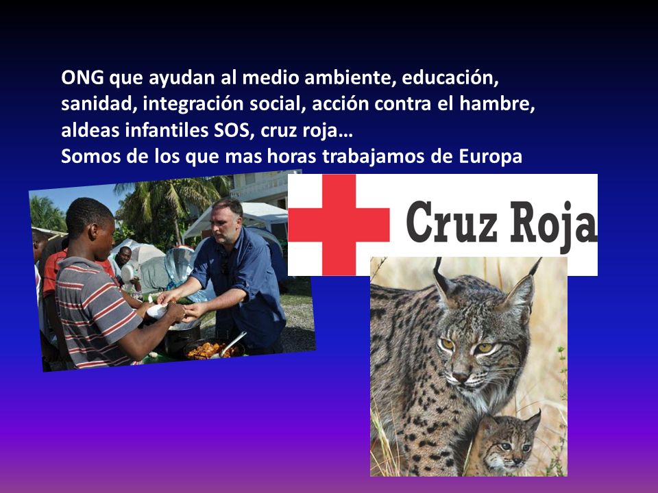 ONG que ayudan al medio ambiente, educación, sanidad, integración social, acción contra el hambre, aldeas infantiles SOS, cruz roja…