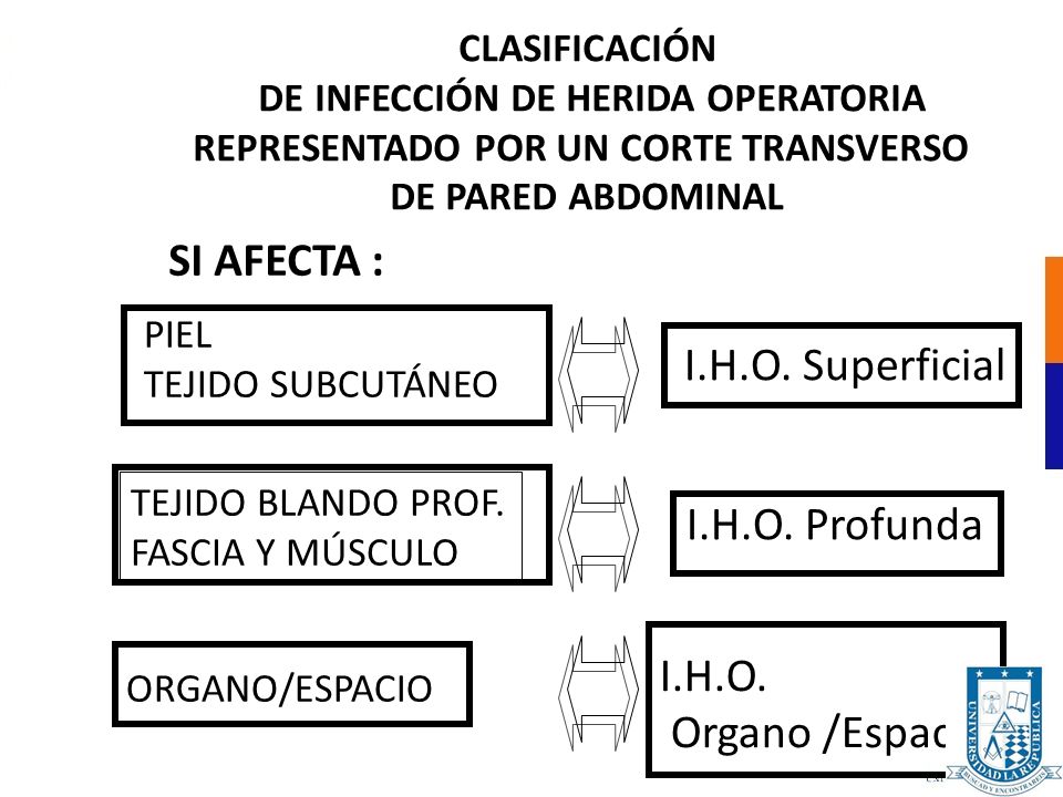 DE INFECCIÓN DE HERIDA OPERATORIA REPRESENTADO POR UN CORTE TRANSVERSO