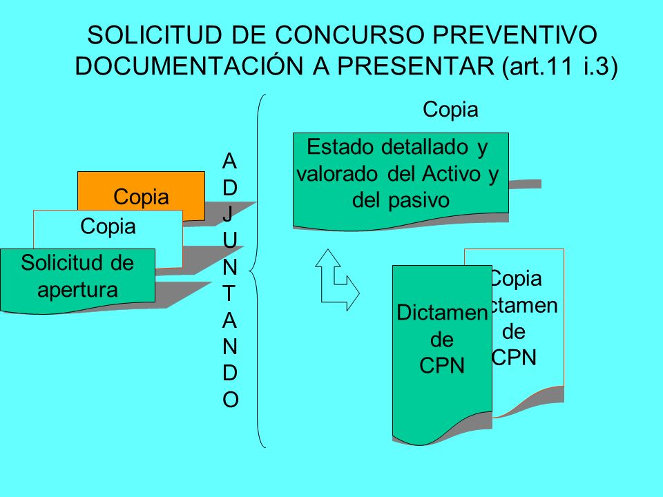 SOLICITUD DE CONCURSO PREVENTIVO DOCUMENTACIÓN A PRESENTAR (art. 11 i