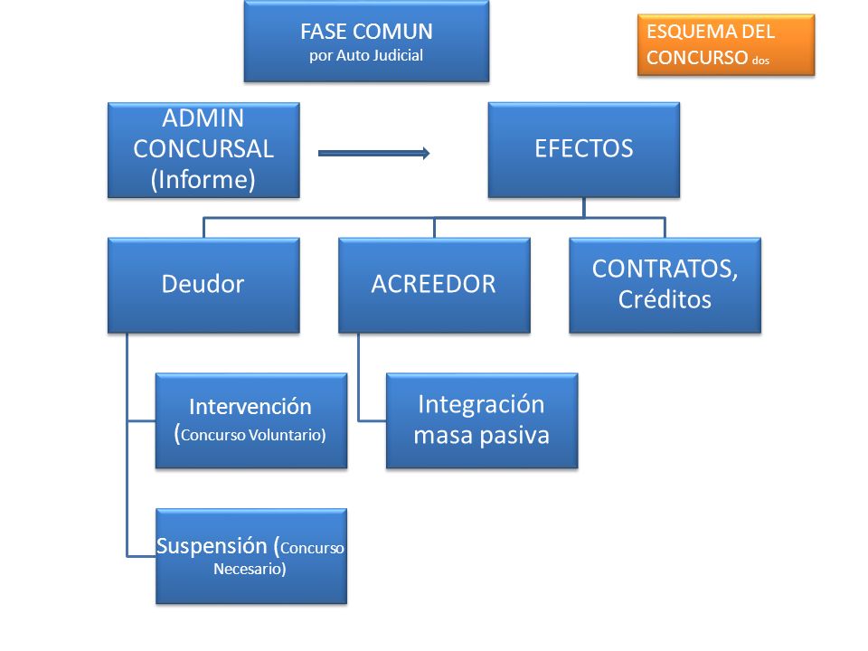 FASE COMUN por Auto Judicial