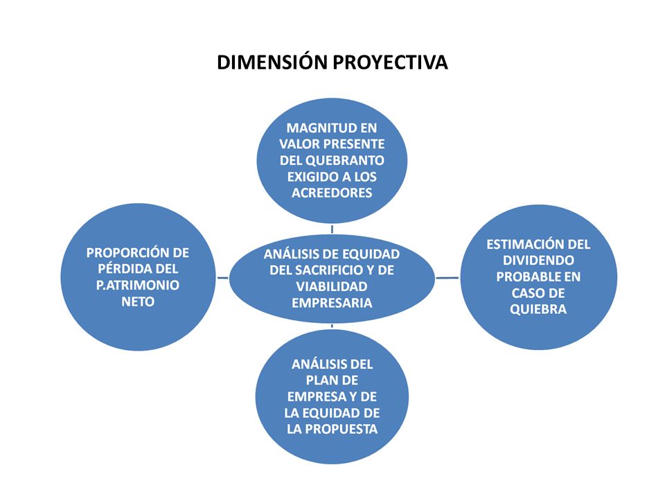 DIMENSIÓN PROYECTIVA PARA TERMINAR, BREVE REFERENCIA A UN TEMA OLVIDADO POR LA LEY CONCURSAL: EL PLAN DE EMPRESA Y EL ANÁLISIS DE LA VIABILIDAD.