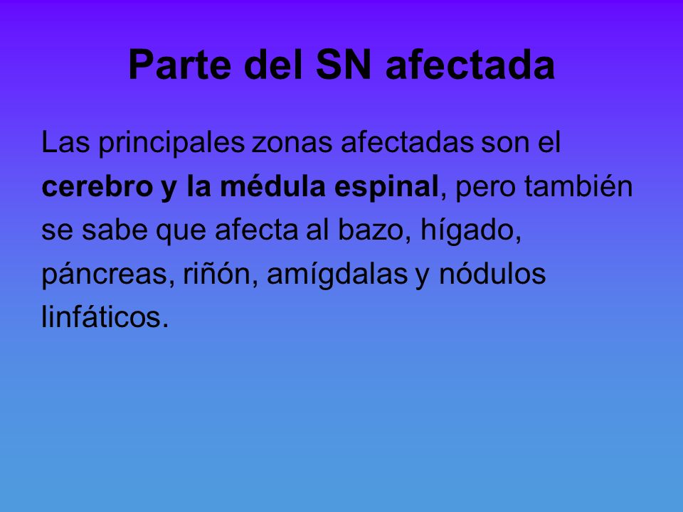 Parte del SN afectada Las principales zonas afectadas son el