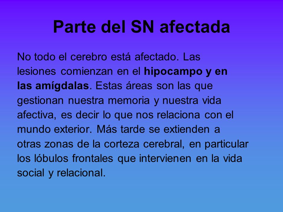 Parte del SN afectada No todo el cerebro está afectado. Las