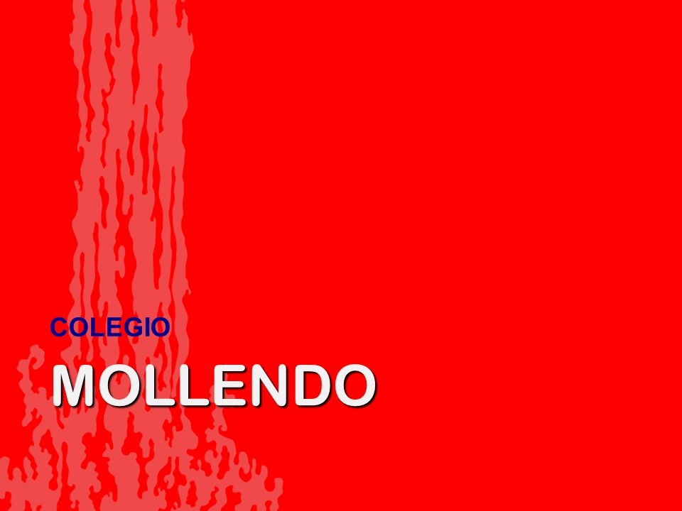 COLEGIO MOLLENDO