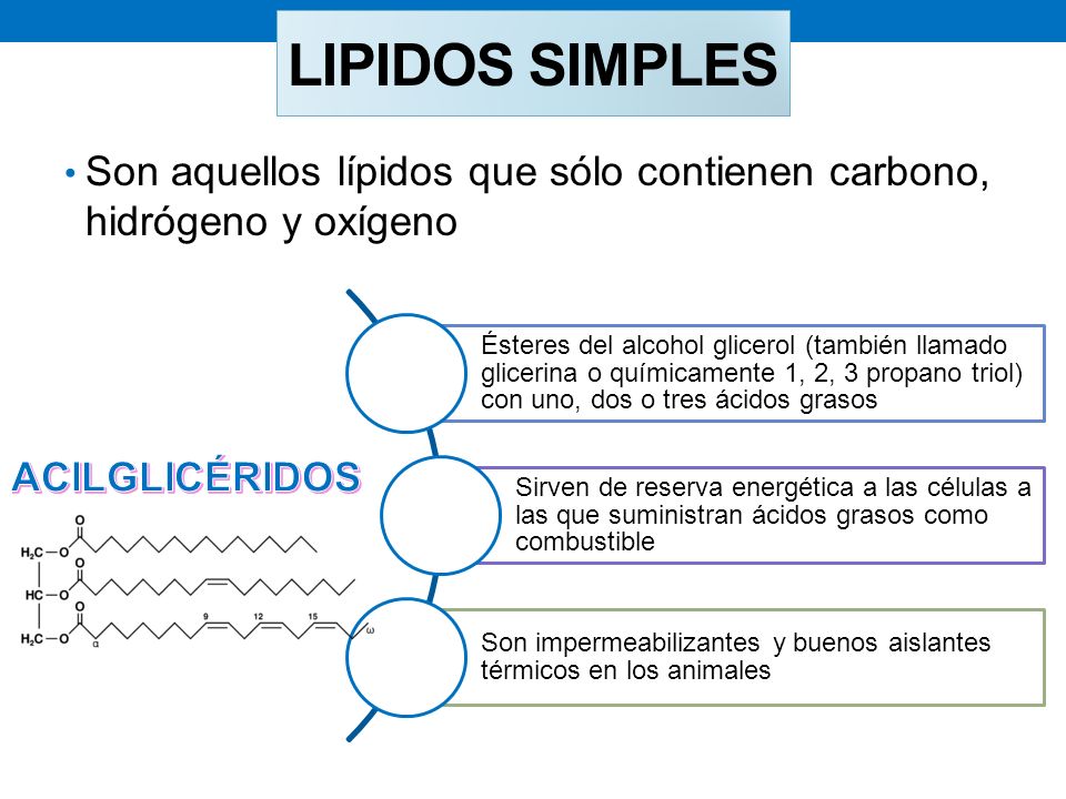 LIPIDOS SIMPLES Son aquellos lípidos que sólo contienen carbono, hidrógeno y oxígeno.