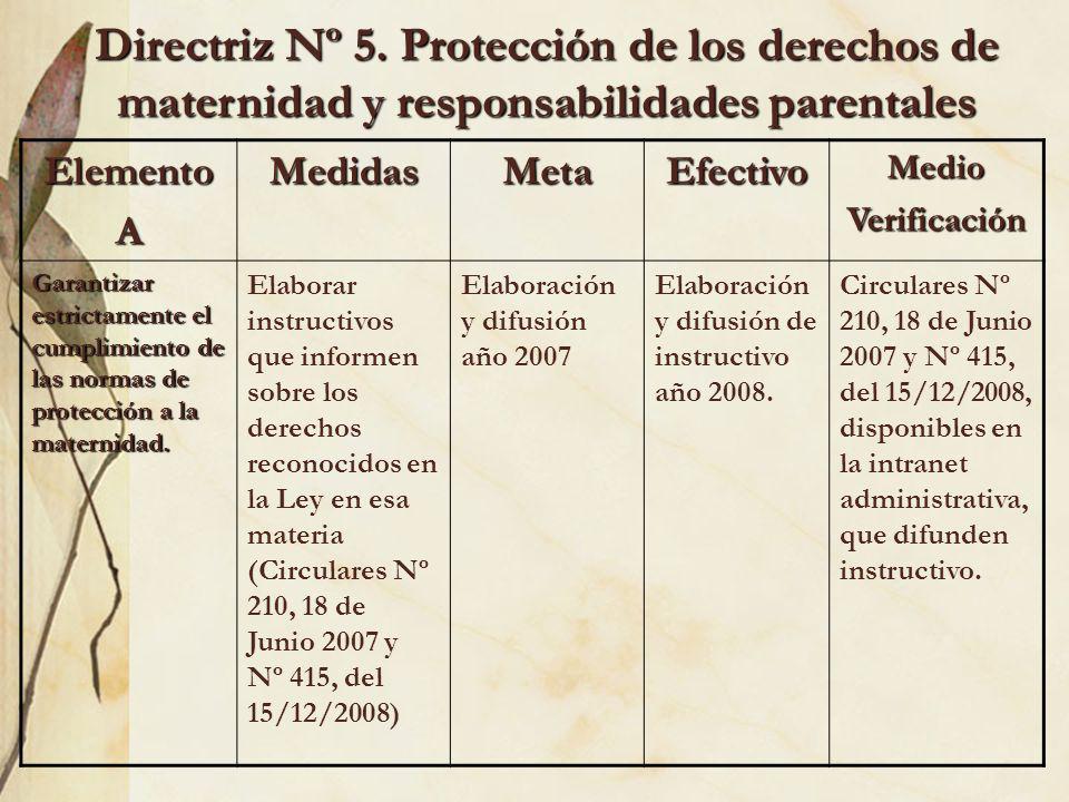 Directriz Nº 5. Protección de los derechos de maternidad y responsabilidades parentales