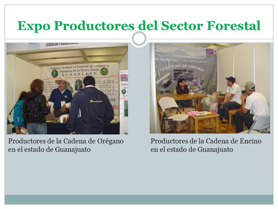 Expo Productores del Sector Forestal