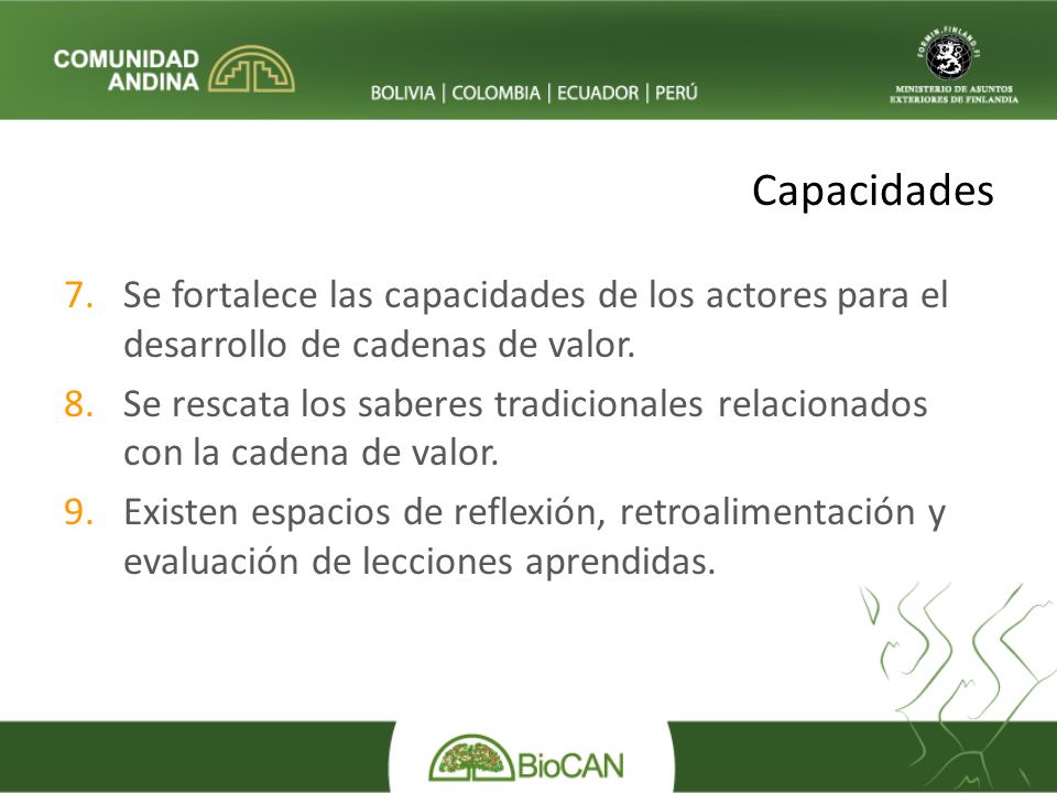 Capacidades Se fortalece las capacidades de los actores para el desarrollo de cadenas de valor.