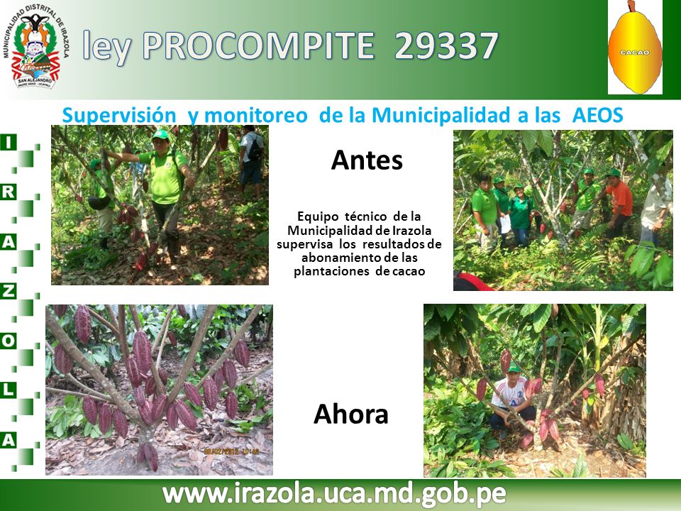 Supervisión y monitoreo de la Municipalidad a las AEOS