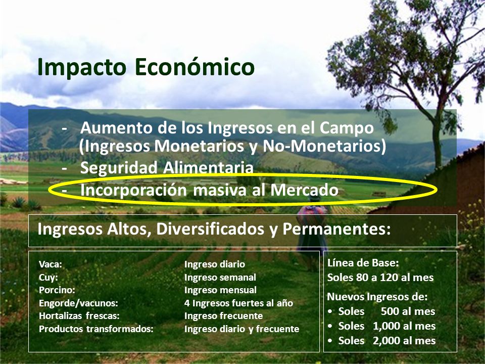 Impacto Económico - Aumento de los Ingresos en el Campo (Ingresos Monetarios y No-Monetarios)