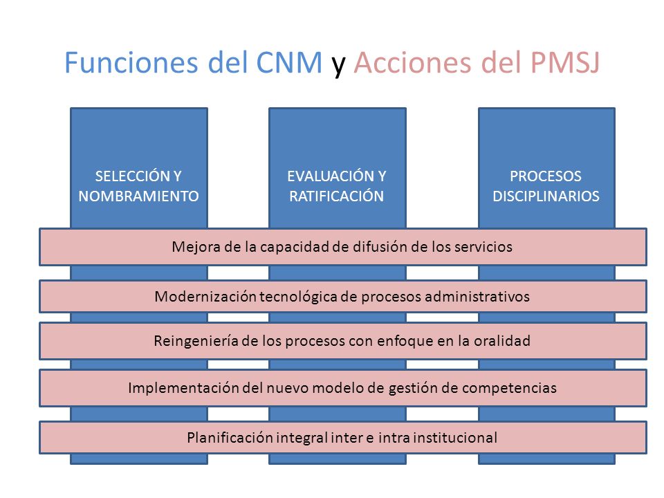 Funciones del CNM y Acciones del PMSJ