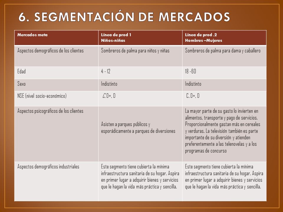 6. SEGMENTACIÓN DE MERCADOS