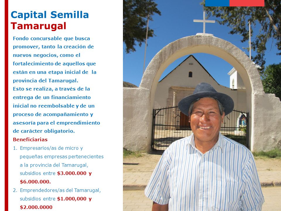 Capital Semilla Tamarugal