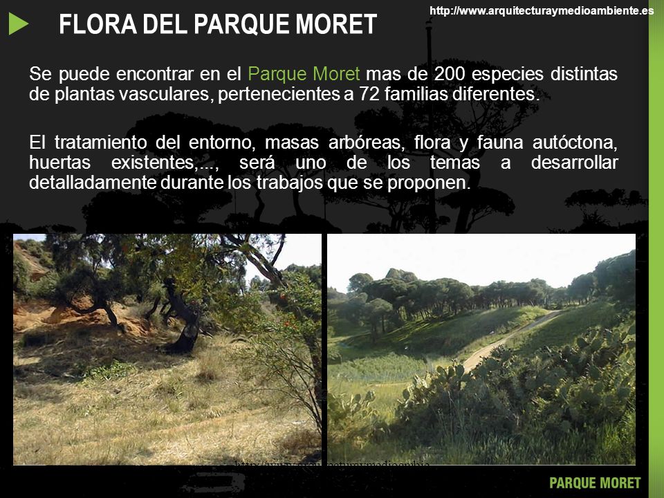 u FLORA DEL PARQUE MORET