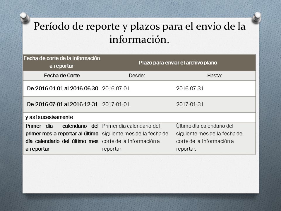 Período de reporte y plazos para el envío de la información.
