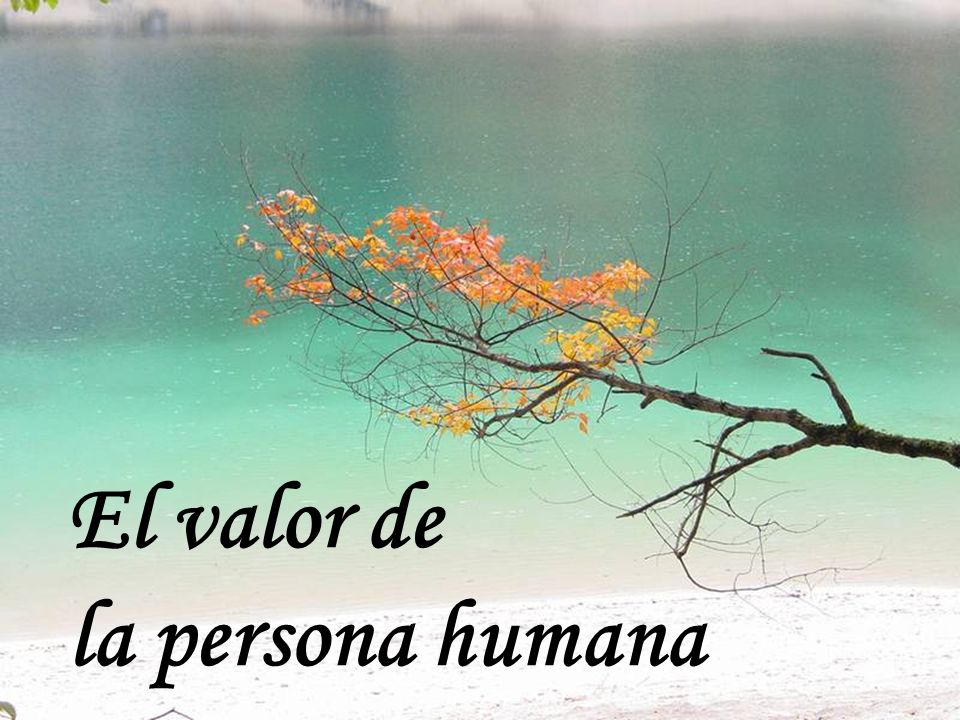 El valor de la persona humana