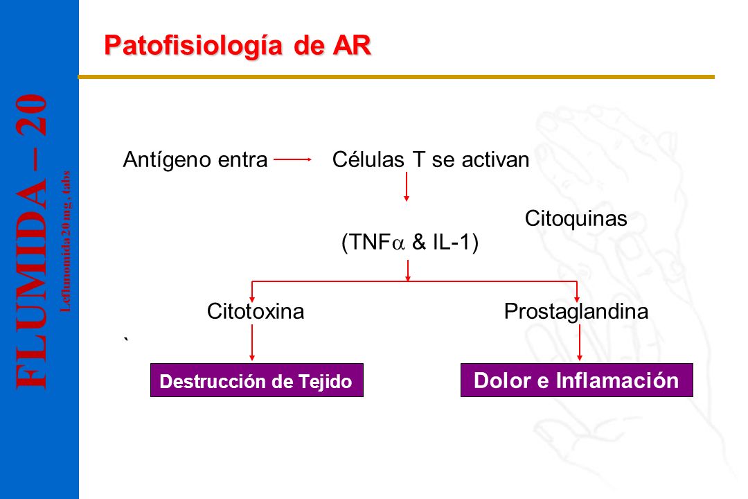 FLUMIDA – 20 Patofisiología de AR Antígeno entra Células T se activan