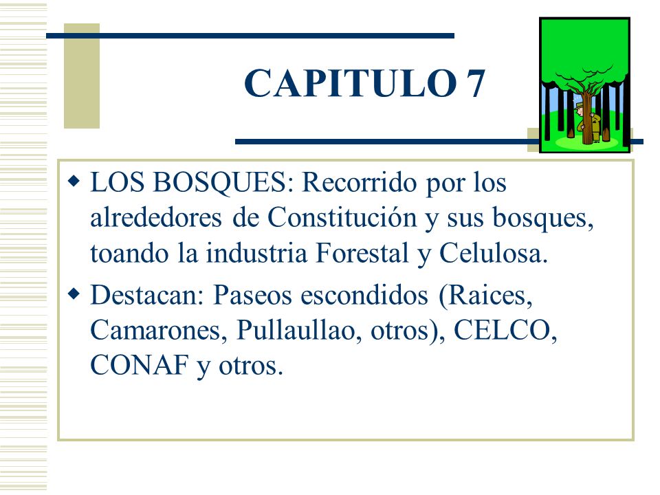 CAPITULO 7 LOS BOSQUES: Recorrido por los alrededores de Constitución y sus bosques, toando la industria Forestal y Celulosa.