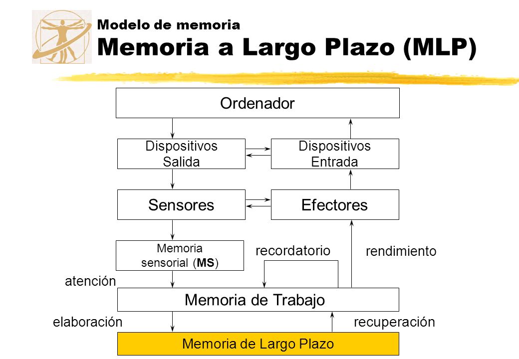 Modelo de memoria Memoria a Largo Plazo (MLP)