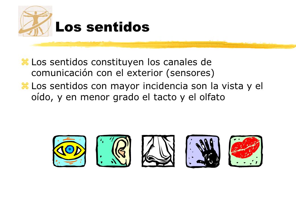 Los sentidos Los sentidos constituyen los canales de comunicación con el exterior (sensores)