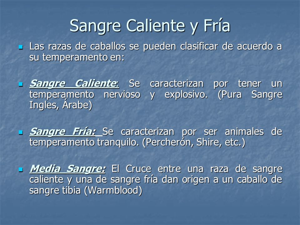 Sangre Caliente y Fría Las razas de caballos se pueden clasificar de acuerdo a su temperamento en: