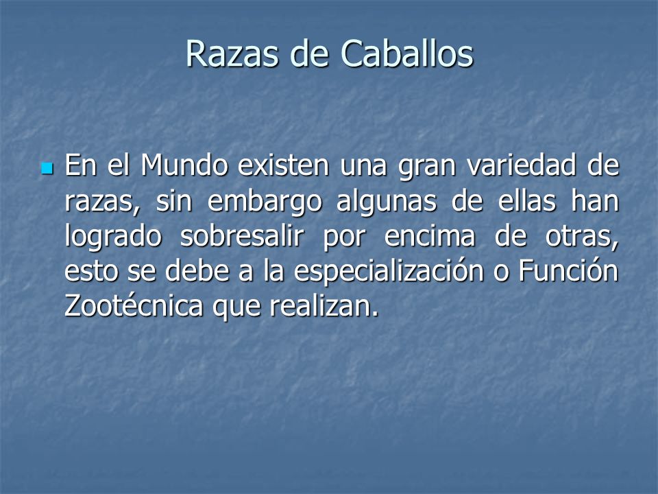 Razas de Caballos