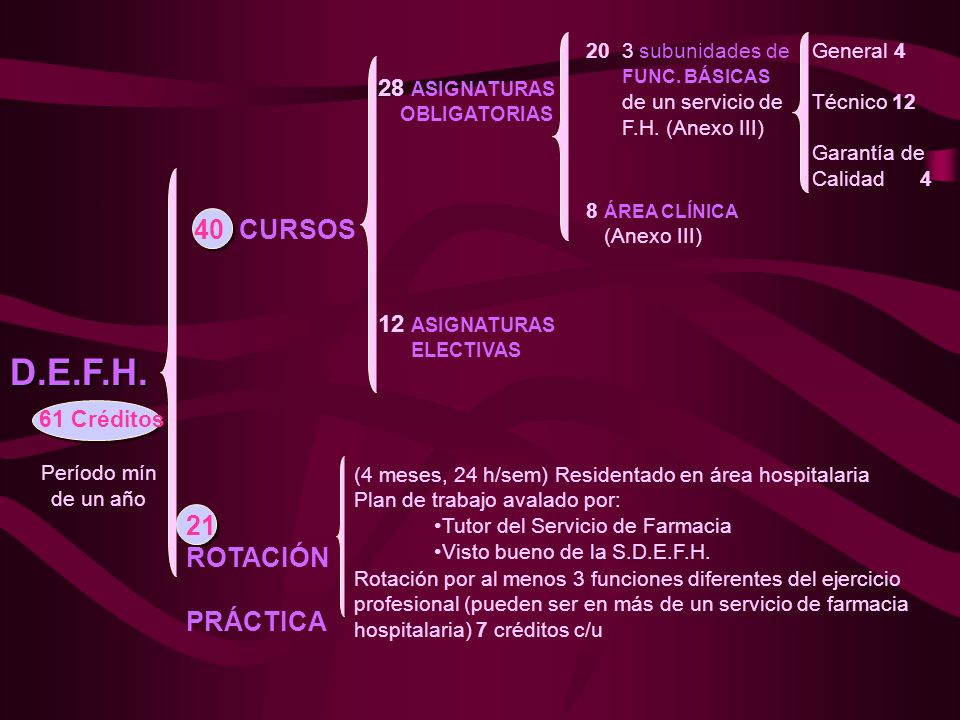 D.E.F.H. 40 CURSOS 21 ROTACIÓN PRÁCTICA 28 ASIGNATURAS 12 ASIGNATURAS