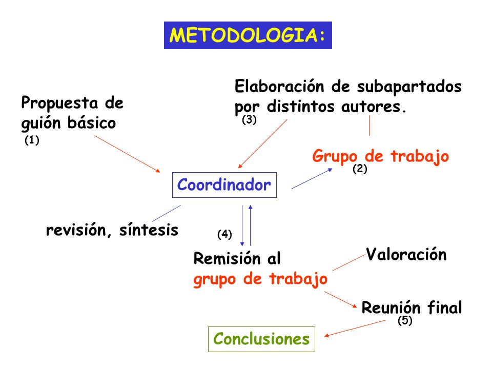 METODOLOGIA: Elaboración de subapartados por distintos autores.