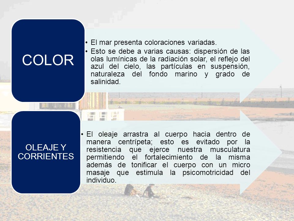 COLOR El mar presenta coloraciones variadas.