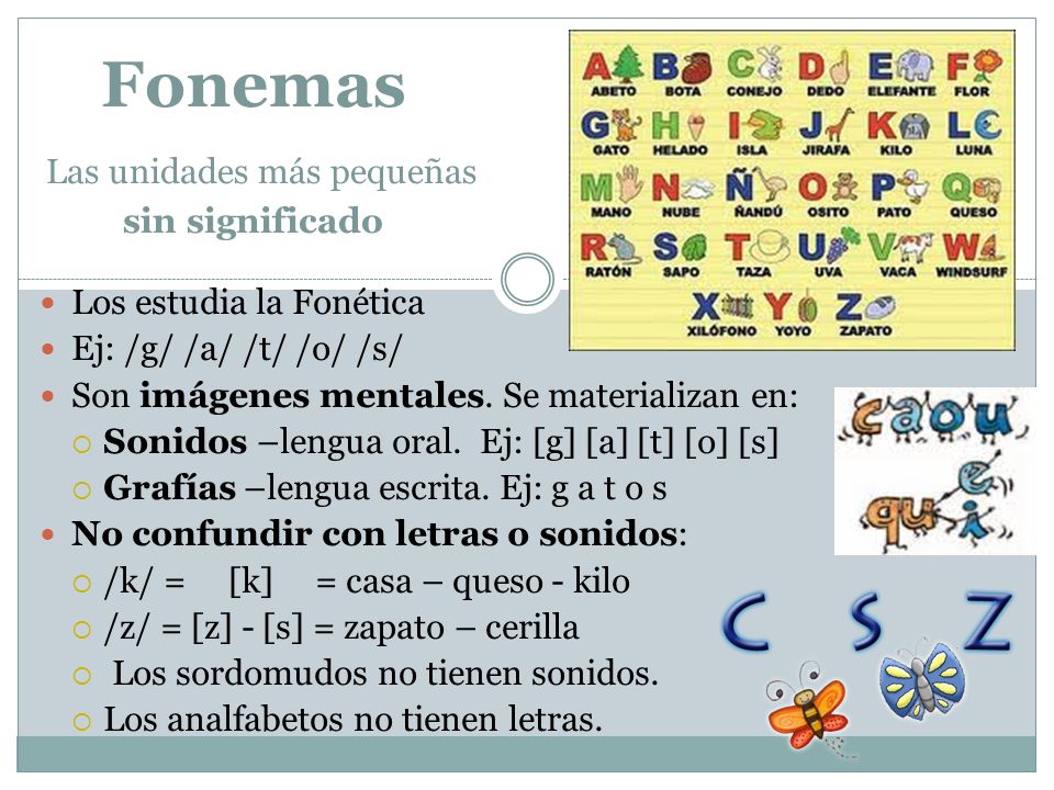 Fonemas Las unidades más pequeñas sin significado