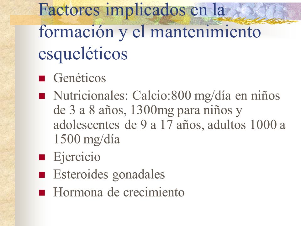 Factores implicados en la formación y el mantenimiento esqueléticos