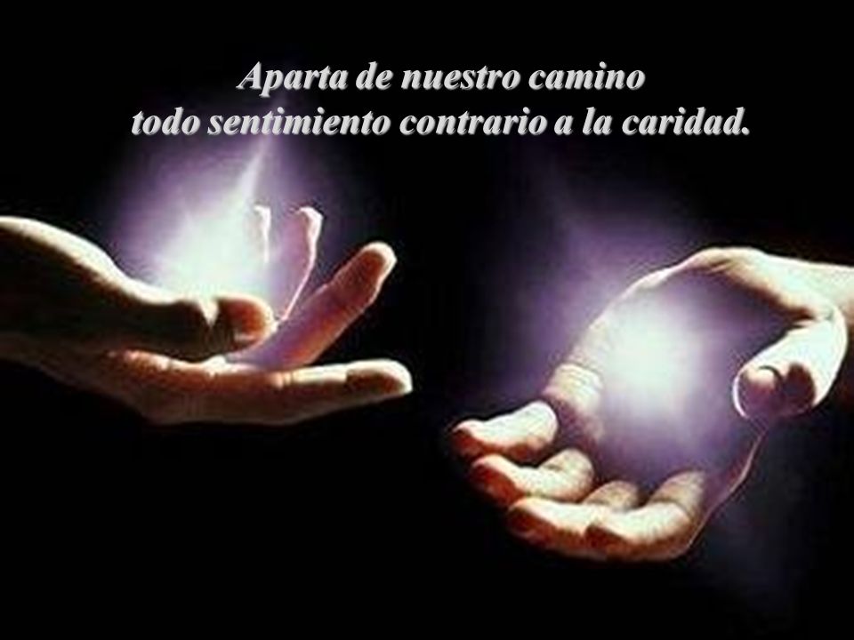 Aparta de nuestro camino todo sentimiento contrario a la caridad.